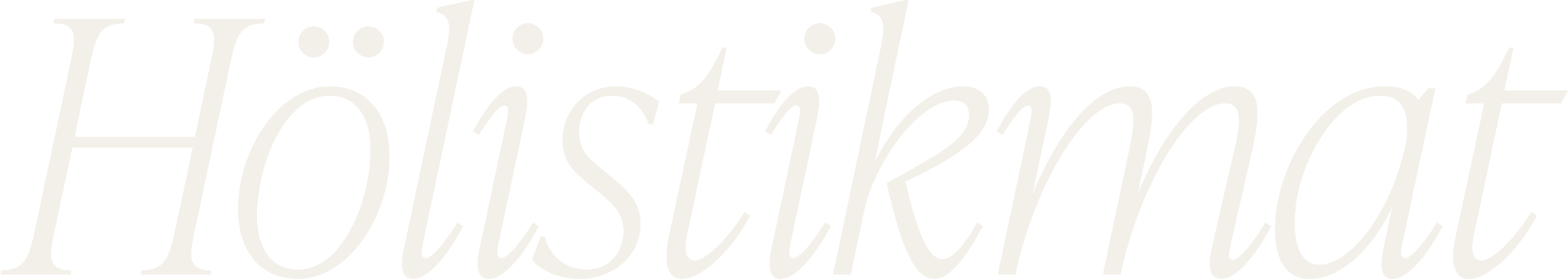 Hölistikmat
